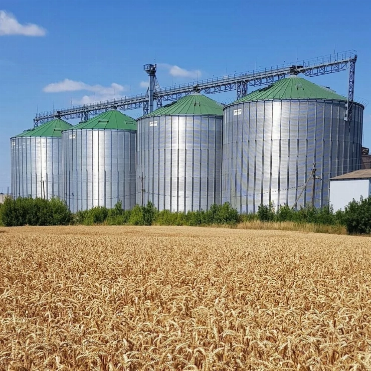 Стоительство силосного парка