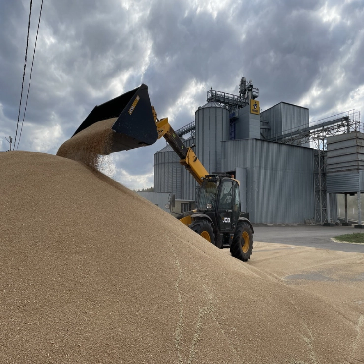 Производство кормовой муки